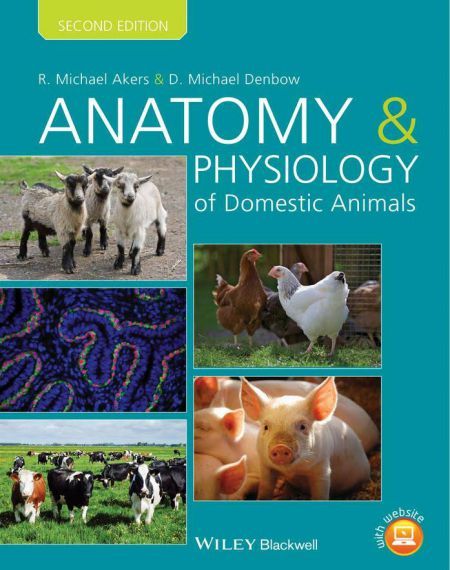 anatomy of domestic animals 11th edition pasquini pdf